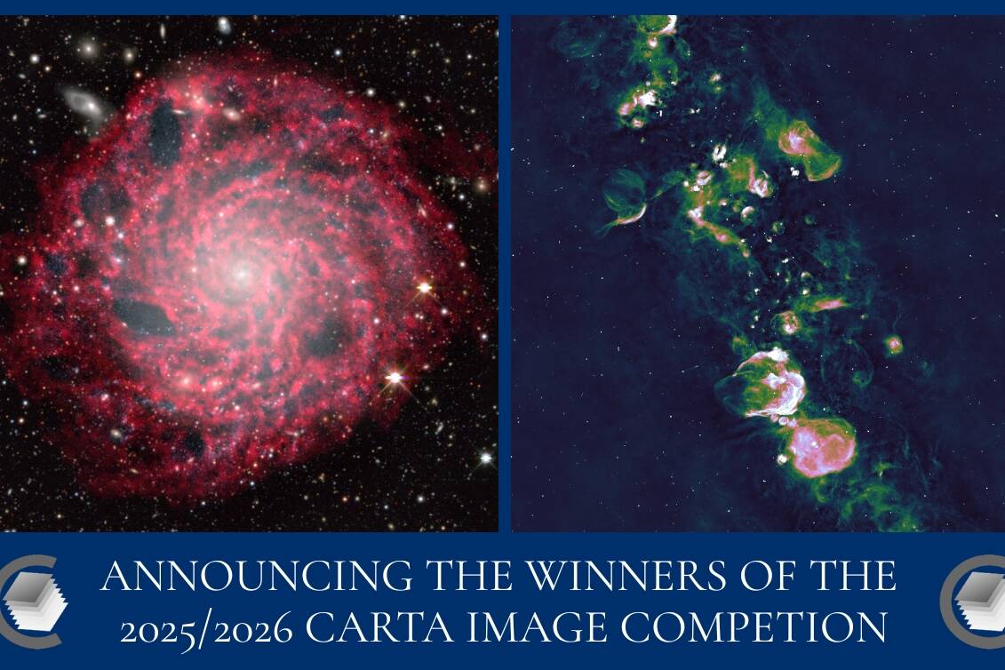 CARTA image competition image