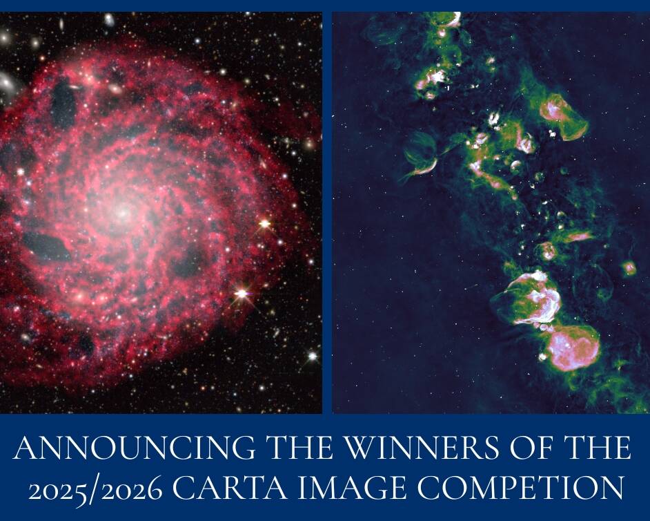 CARTA image competition image