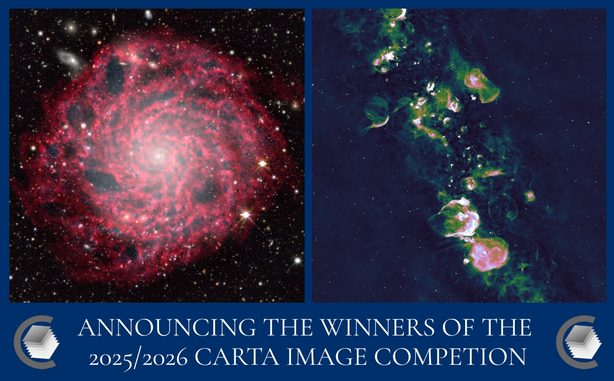 CARTA image competition image