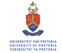 University of Pretoria logo